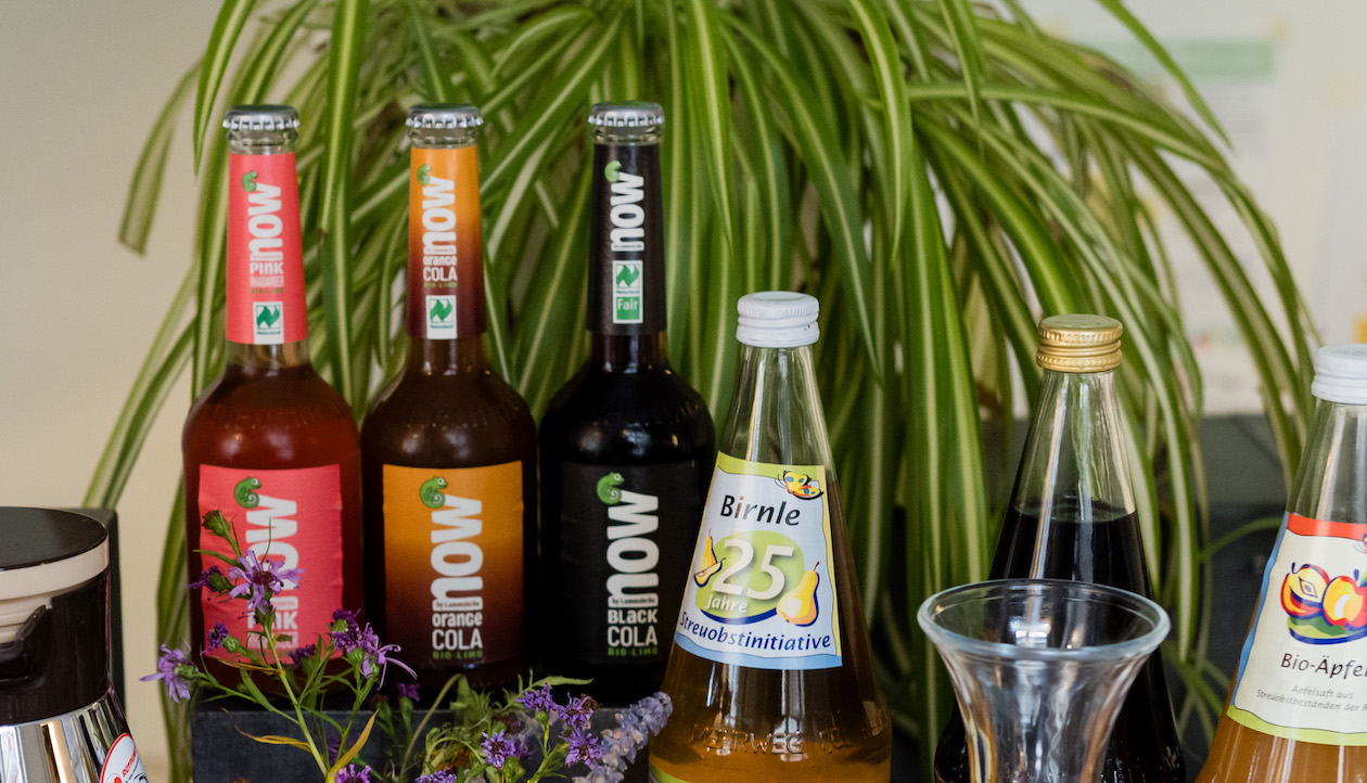 Drei Limonaden vor einer grünen Pflanze.