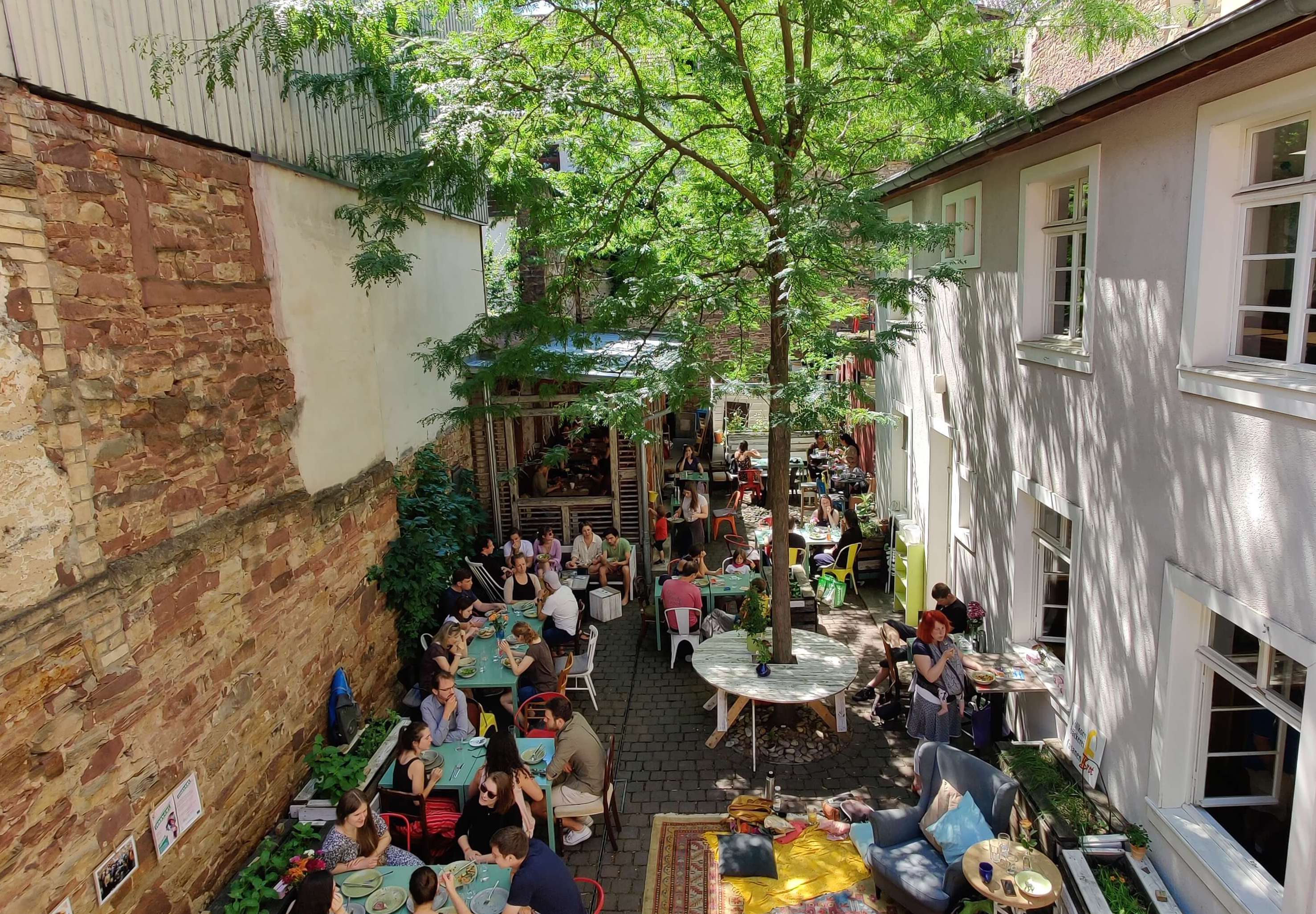 Innenhof der Kulturküche im Sommer mit Baum. Im Hof sitzen viele verschiedene Menschen.